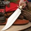 Timber Wolf King Stag Antler Crown Knife With Sheath - Stainless Steel Blade, Genuine Horn Handle, Brass Handguard - Length 22 1/2” -Knife Sale Store A17 TW1063