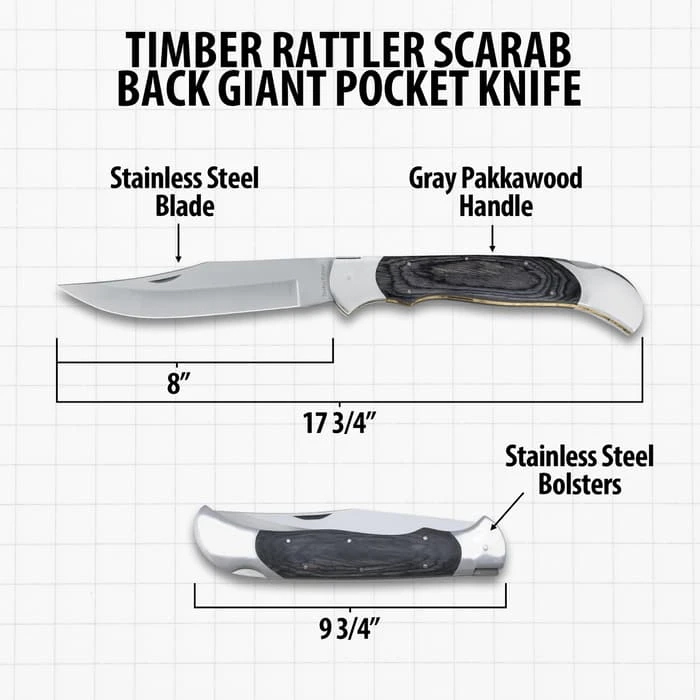 Timber Rattler Scarab Back Giant Pocket Knife 5 Timber Rattler Scarab Back Giant Pocket Knife - Image 3
