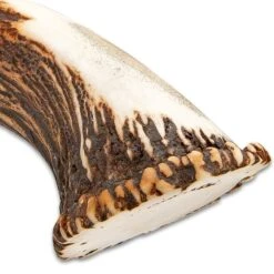 Timber Wolf King Stag Antler Crown Knife With Sheath - Stainless Steel Blade, Genuine Horn Handle, Brass Handguard - Length 22 1/2” 12 Timber Wolf King Stag Antler Crown Knife With Sheath - Stainless Steel Blade, Genuine Horn Handle, Brass Handguard - Length 22 1/2” -Knife Sale Store F17 TW1063